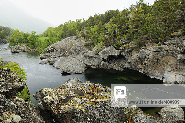 Fluss Driva im Nationalpark Dovrefjell  Norwegen  Skandinavien  Europa