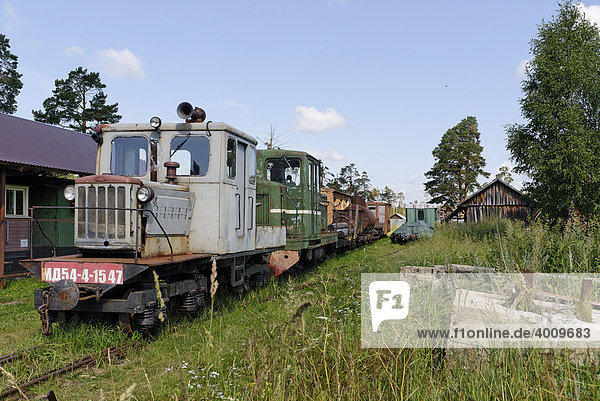 Kleine Benzin-Lokomotive MD54  Schmalspur-Eisenbahn-Museum in Pereslavl-Zalessky  Russland