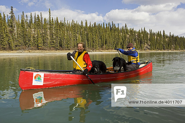 Kanufahrer auf dem Takhini Fluss  mit Schlittenhund  Alaskan Husky  Yukon Territory  Kanada  Nordamerika