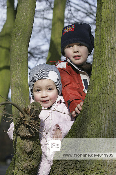 Children climbing on a tree