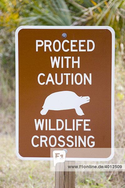Hinweisschild  Verkehrsschild  Wildlife crossing  in einem State Park in Florida  USA