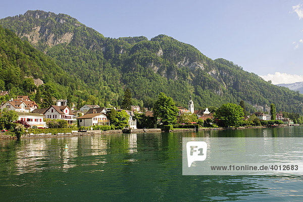 Die Ortschaft Vitznau am Vierwaldstättersee  eine populäre Feriendestination  Kanton Luzern  Schweiz  Europa Kanton Luzern