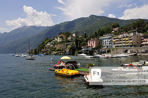 Ufer und Segelhafen von Ascona  Lago Maggiore  Tessin  Schweiz  Europa