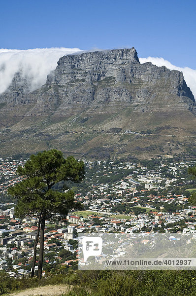 Tafelberg in Kapstadt Aussicht vom Signal Hill Südafrika