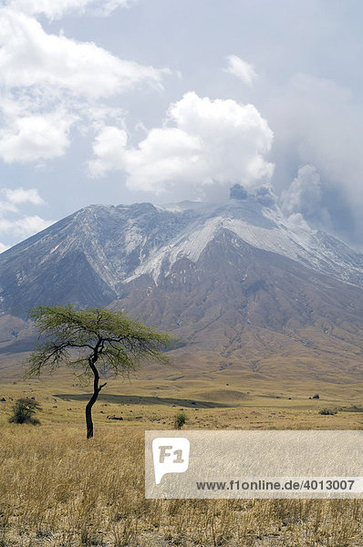 Eruption of Ol Doinyo Lengai volcano in 2007  Tanzania  Africa