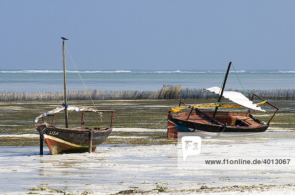 Fischerboote bei Ebbe am Strand von Bwe Juu  Sansibar  Tansania  Afrika