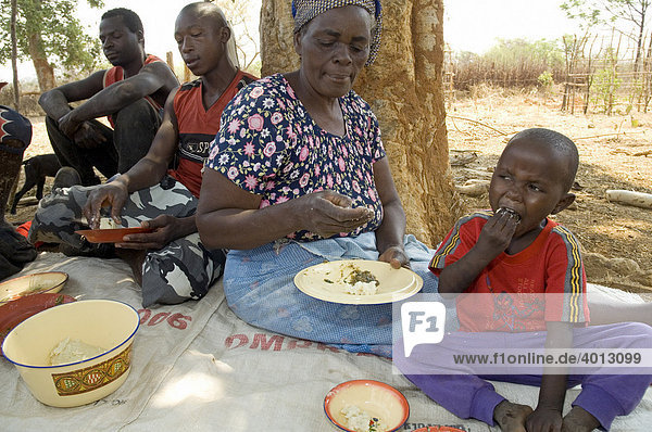 Eine Bauernfamilie isst zu Mittag unter einem Baum in Magoye  Mazabuka  Sambia  Afrika