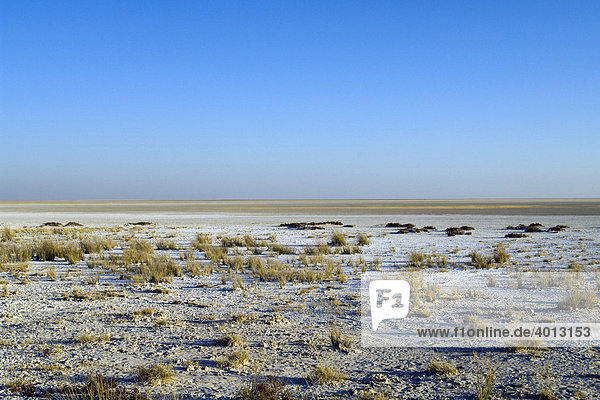 Etoschapfanne in der Trockenzeit  Etosha Nationalpark  Namibia  Afrika