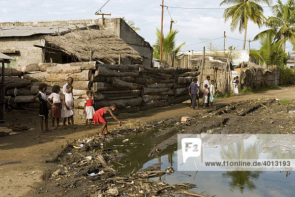 Stagnant water  ideal breeding ground for mosquitoes transmitting malaria  center of Quelimane  Mozambique  Africa
