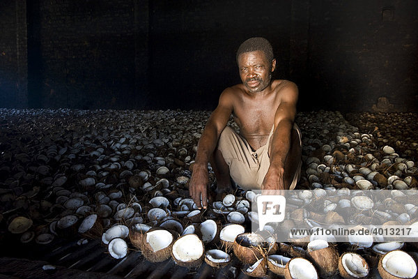 Worker drying coconuts over a heated grill to produce copra  Quelimane  Mozambique  Africa