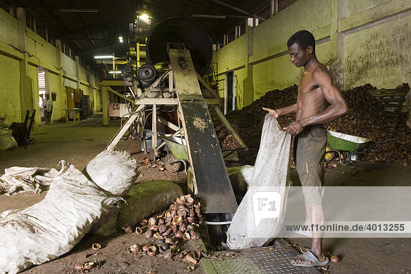 Worker in a copra company  Quelimane  Mozambique  Africa