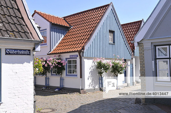 Alte Häuser in der Fischersiedlung Holm  Schleswig  Schleswig-Holstein  Norddeutschland  Deutschland  Europa