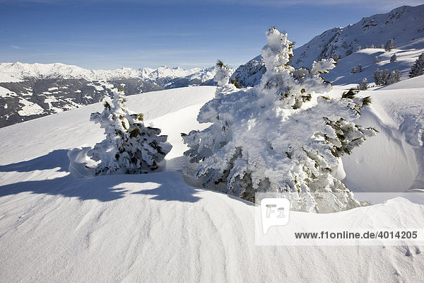 Tiefverschneite Berge  Nordtirol  Österreich  Europa