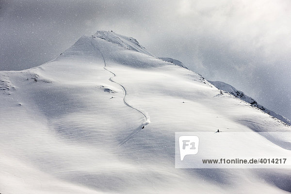 Freestyle skier in terrain covered in deep snow  Northern Tyrol  Austria  Europe