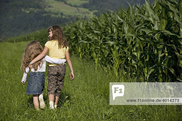 Girls walking along a corn field  Reith im Alpbachtal  North Tyrol  Austria  Europe