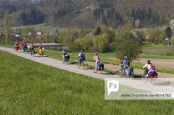 Group of cyclists  Lake Constance  near Bodmann  Baden-Wuerttemberg  Germany  Europe