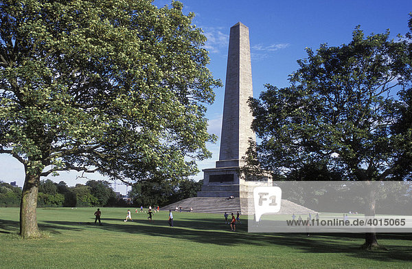 Wellington Denkmal im Phoenix Park  Dublin  Irland