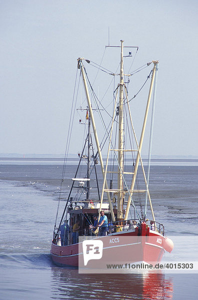 Fischkutter bei Dornumersiel  Fischereiwirtschaft  Nordsee  Nordseeküste  Niedersachsen  Deutschland  Europa