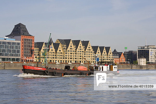 Wohnhäuser und Bürogebäude auf der Rheinauhalbinsel  Rheinauhafen  Schiff  Rhein  Köln  Nordrhein-Westfalen  Deutschland  Europa