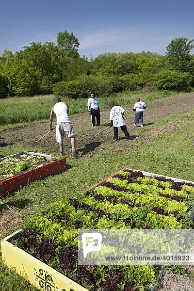 Volunteers work at D-town Farm  an urban farm in a city park operated by the nonprofit Detroit Black Community Food Security Network  Detroit  Michigan  USA