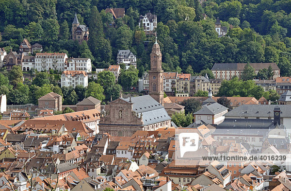 Altstadt von Heidelberg  Neckartal  Baden-Württemberg  Deutschland  Europa