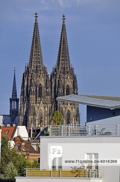 Kölner Dom  Köln  Nordrhein-Westfalen  Deutschland  Europa