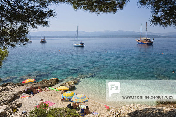 Badestrand bei Bol  Insel Brac  Dalmatien  Kroatien  Adria  Mittelmeer  Europa