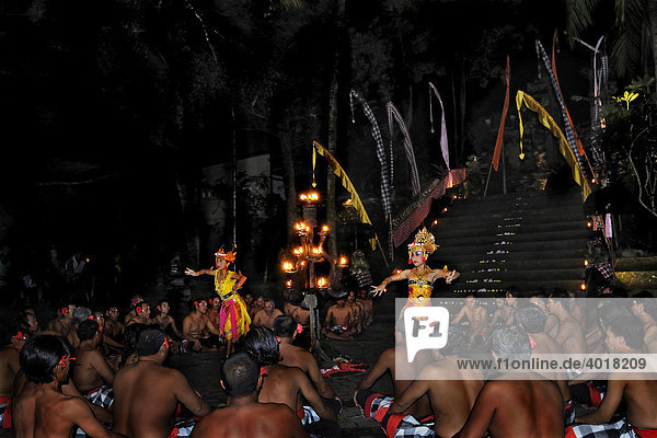 Female dancers during a performance of Kecak  Ketjak or Ketiak Dance in Ubud  Bali  Indonesia  Asia