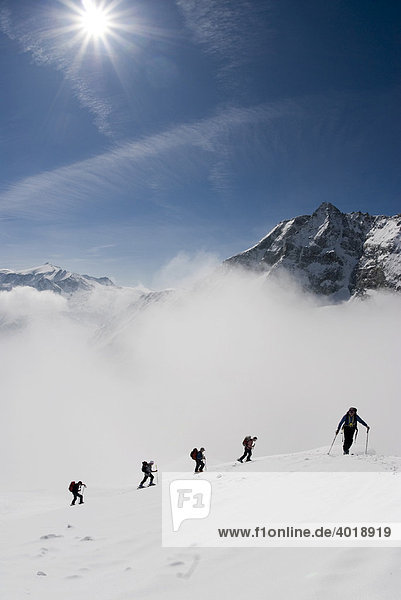 Skitour in Rauris  vor Sonnblick  3105m  Nationalpark Hohe Tauern  Salzburg  Österreich  Europa