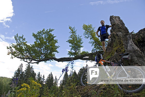 Mountainbiking Kalkalpen National Park Upper Austria Europe