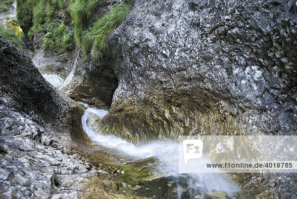 Bachlauf im Nationalpark Kalkalpen  Oberösterreich  Europa