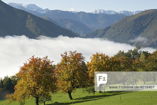 Nebelstimmung über Reichraming im Nationalpark Kalkalpen  Oberösterreich  Österreich  Europa