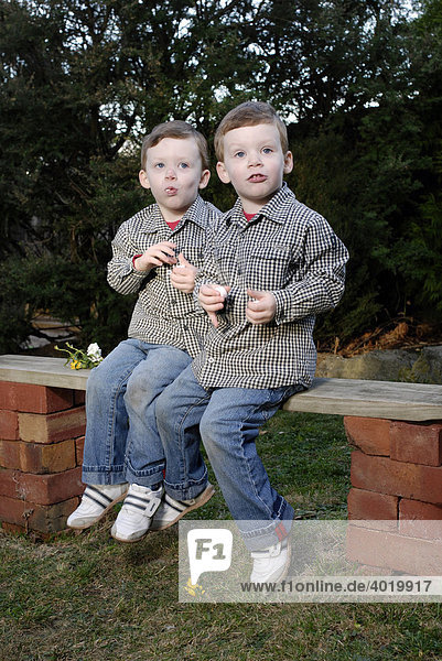 Zwillingsjungen  dreieinhalb Jahre alt  essen Marshmallows im Hinterhof