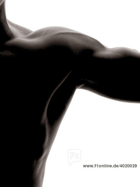 Mann  muskulös  Schulter  Silhouette