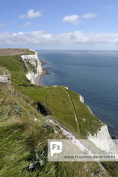 Kreidefelsen von Dover  Dover  England  Großbritannien  Europa