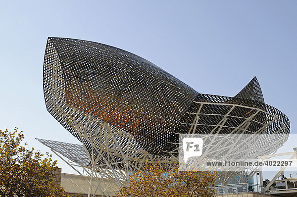 El Peix de Or  der goldene Fisch  Fisch  Skulptur  Architekt Frank O. Gehry  Port Olimpic  Hafen  Barcelona  Katalonien  Spanien  Europa
