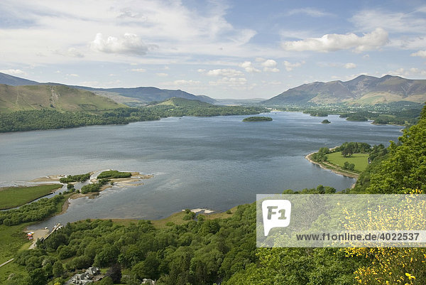 Lookout point  Surprise View  over Derwent Water in the Lake District  Cumbria  North England  Great Britain  Europe