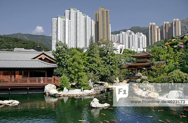 Pagode und See mit Koi Fische in Chi Lin Botanical Garden  Park in Kowloon  Hong Kong  China  Asien