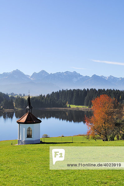 Kapelle beim Hegratsrieder See bei Buching  Allgäu  Ostallgäu  Bayern  Deutschland  Europa
