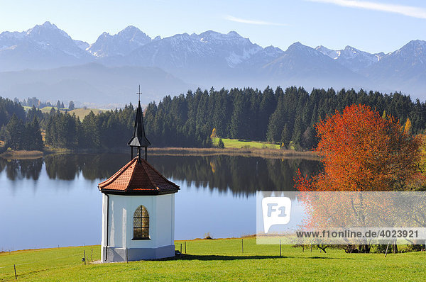 Kapelle beim Hegratsrieder See bei Buching  Allgäu  Ostallgäu  Bayern  Deutschland  Europa
