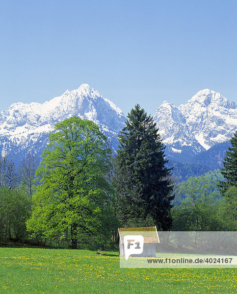 Landschaft bei Füssen  Thannheimer Berge  Frühling  Ostallgäu  Allgäu  Bayern  Deutschland  Europa