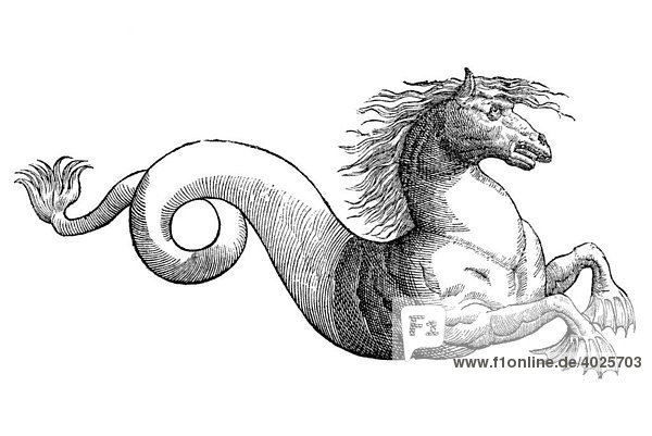 Holzschnitt  Equus marinus monstrosus  monströses marines Pferd  Aldrovandi  Historia Monstrorum  1642  Renaissance