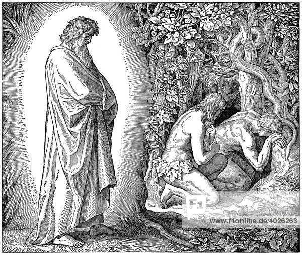 Holzschnitt  Gott  Adam und Eva  Schlange  Teufel  Der Sündenfall  Genesis 3  3  Erschaffung der Welt  Altes Testament  Katholische Bilder-Bibel