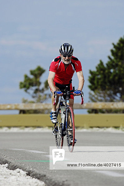 Rennradfahrer  Fahrradfahrer  Radfahrer  Vaucluse  Provence-Alpes-Cote d'Azur  Südfrankreich  Europa