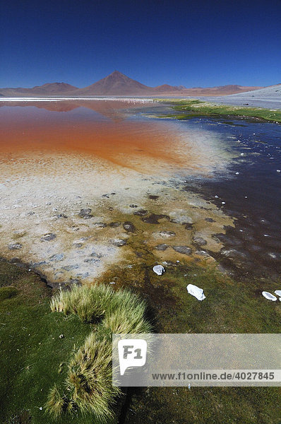 Altiplano  Bolivia  South America