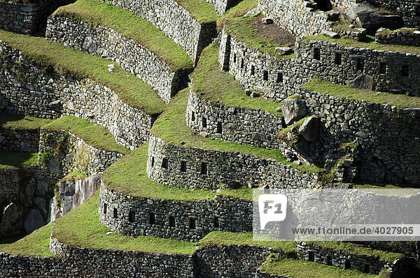 Terraces of Machu Picchu  Peru  South America