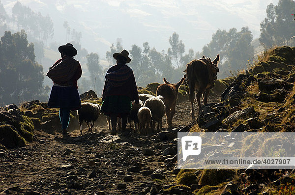 Local people near Huaraz  Peru  South America