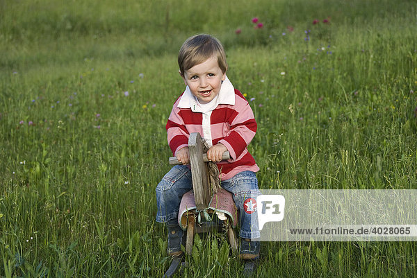 Small cowboy  an 18-month-old boy riding a rocking horse in a field  Austria  Europe