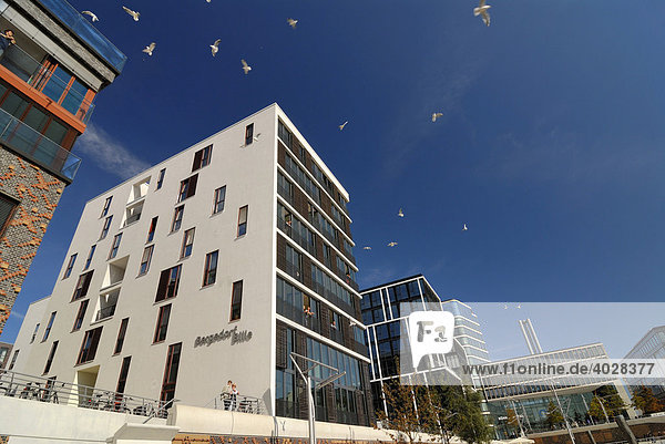 Moderne Wohn- und Bürogebäude am Kaiserkai und am Großen Grasbrook in der Hafencity von Hamburg  Deutschland  Europa