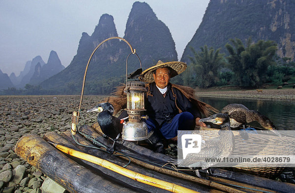 Typischer Fischer mit Kormoranen  Xingping  Guangxi  China  Asien